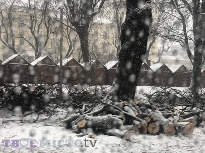 На проспекті Свободи зрізають два ряди кленів. Весною їх замінять