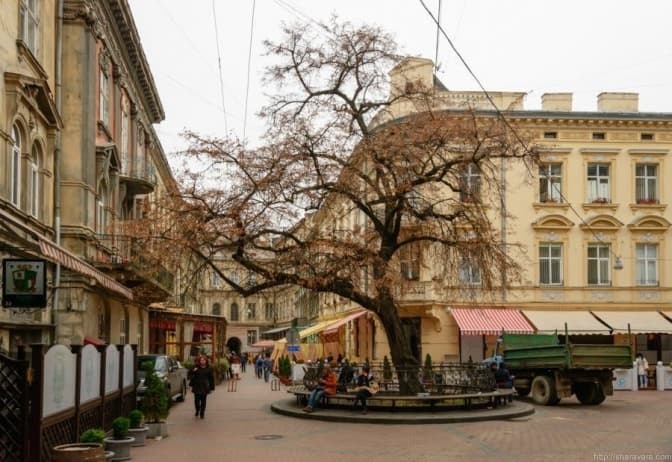 Забудовник, який хоче відреставрувати будівлю в центрі Львова, повинен відновити проїзд Крива Липа