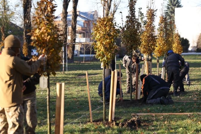 У Львові висадили дерева пам’яті захисників та захисниць