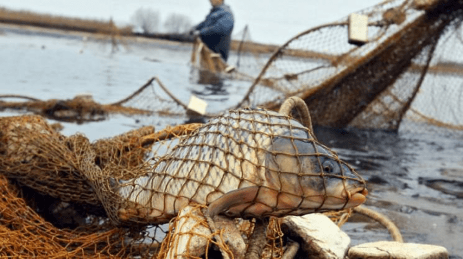 Фото з відкритих джерел