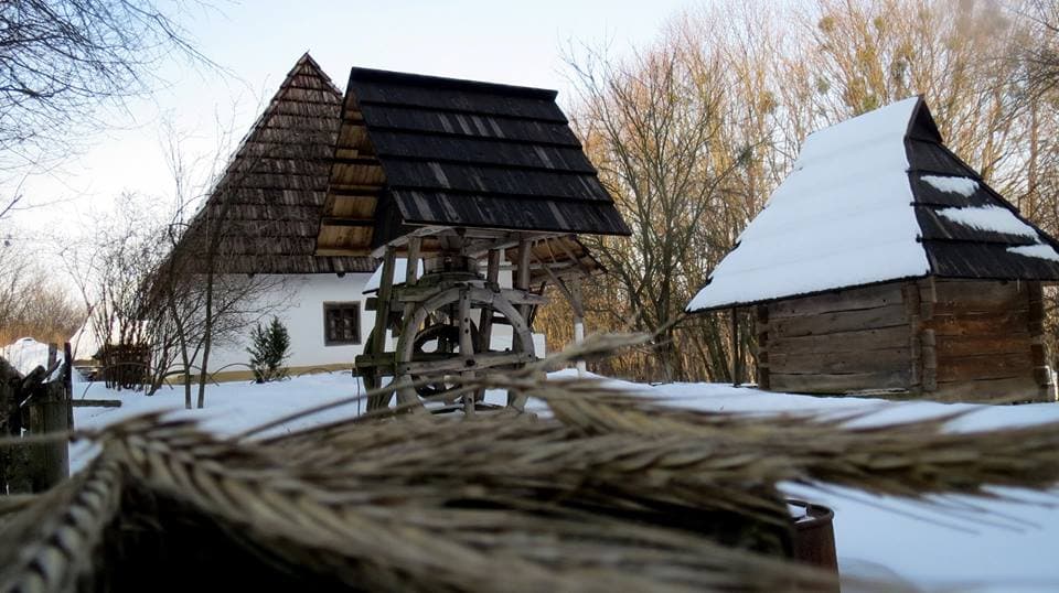 Парк сімейного відпочинку. Яким буде Шевченківський гай через 10 років