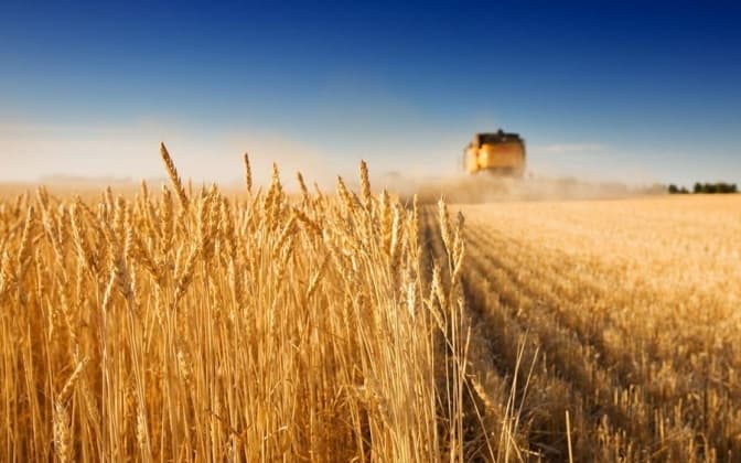 Новий бізнес на Львівщині. Які галузі сьогодні є у пріоритеті