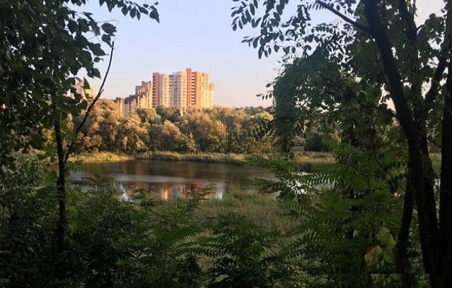 У Києві з’явився новий ландшафтний заказник