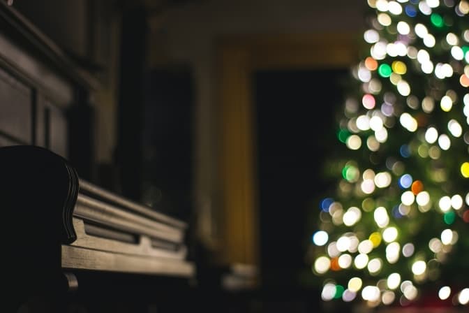 Photo by Steve Halama on Unsplash