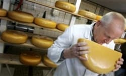 Дослідження: в українських сирах пальмової олії немає
