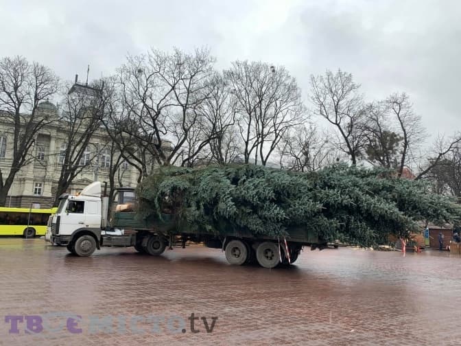 Фото дня. У центрі Львова встановили головну новорічну ялинку Львова