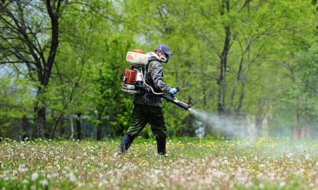 Наступного тижня парки у Львові оброблятимуть від кліщів. Графік