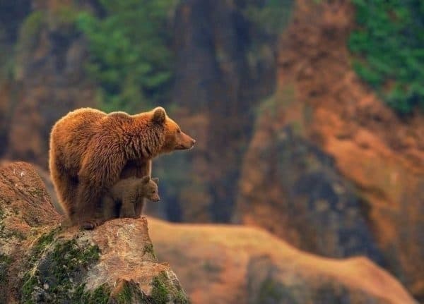 Фото: Про Карпати