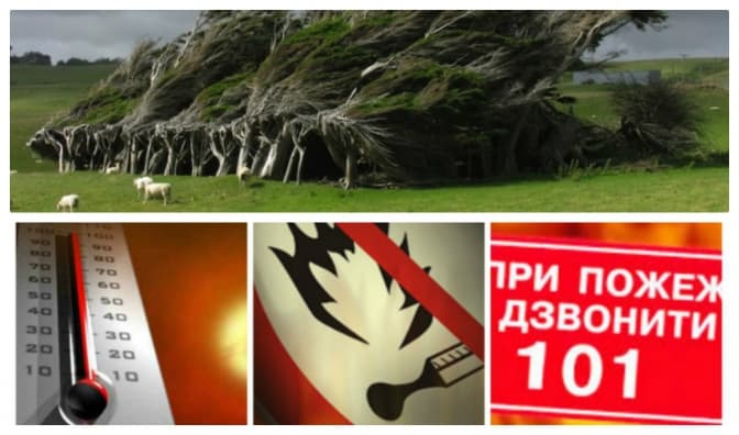 Львів’ян попереджають про сильний вітер й пожежну небезпеку