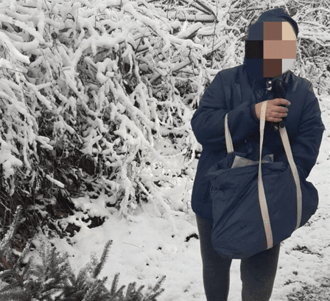 Поліція затримала жінку, яка зрізала ялинку у Снопківському парку