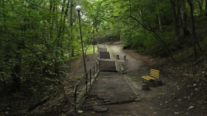 Центральну алею парку «Залізна вода» у Львові замостять бруківкою