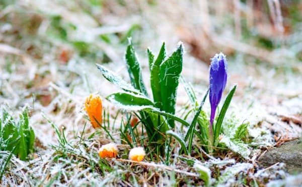 фото: zaknews.in.ua