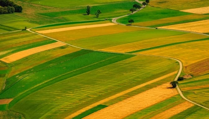 Фото: ckp.in.ua