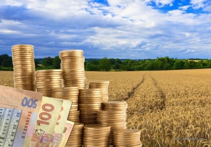 Ще шість земельних ділянок на Львівщині виставили на торги