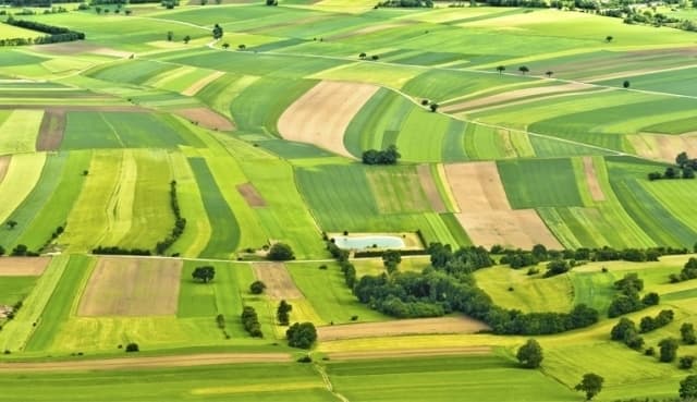 Відтепер зареєструвати земельну ділянку в Україні можна онлайн