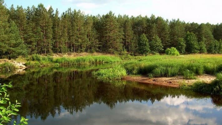 На Львівщині хочуть створити новий заповідник