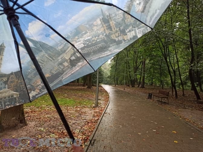 Чому із парку «Залізна Вода» зникають птахи. Фоторепортаж