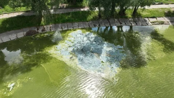 На озері Віра в Києві з'явились блакитні плями