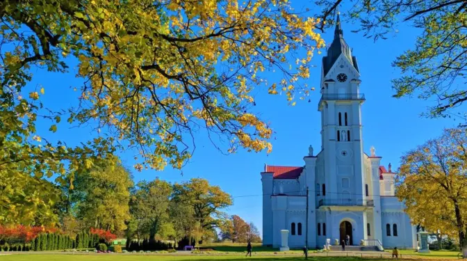 Фото ілюстративне/ Гніздичів