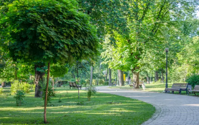 У Києві на Борщагівці проведуть роботи з облаштування скверу
