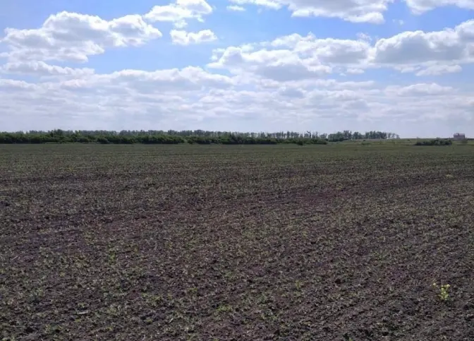 Збитки від захоплених ділянок у Львівській громаді перевищили мільйон гривень