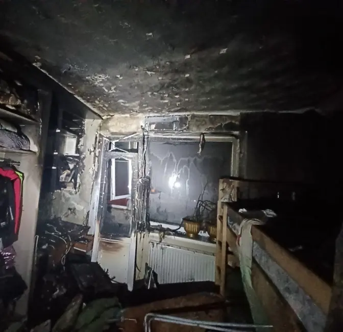 У Львові під час пожежі загинули домашні тварини