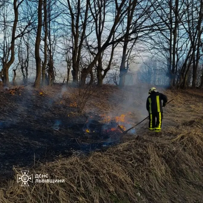 Фото: ДСНС Львівщини
