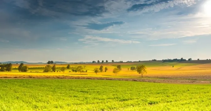 Скільки земельних ділянок на Львівщині конфіскували у громадян росії