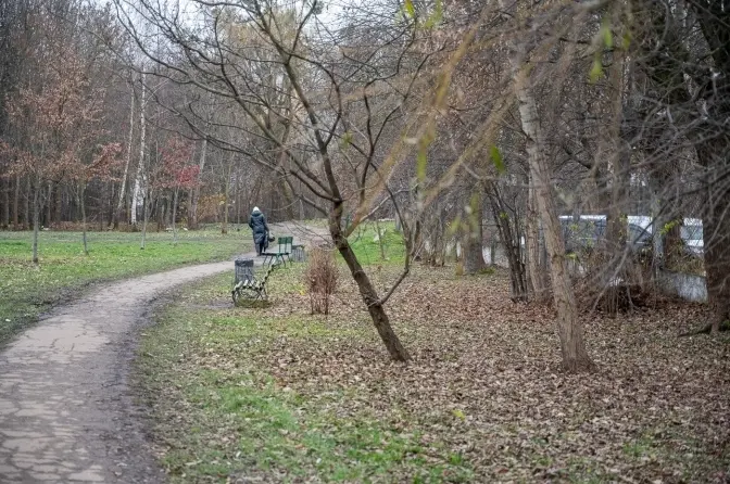 Понад 150 дерев планують висадити у одному із парків Львова