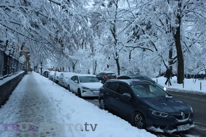 Ремонт інтернату та реставрація собору Святого Юра. Найбільші тендери Львівщини минулого тижня