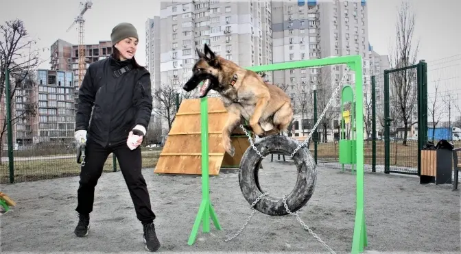 На Позняках у Києві відкрили сучасний майданчик для вигулу собак