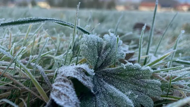 Сильний заморозок вночі та до 12° тепла вдень: прогноз погоди на 29 квітня на Львівщині