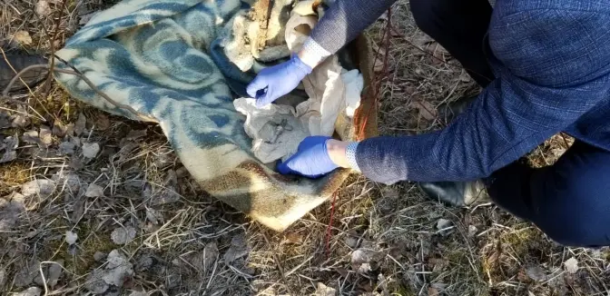 На Львівщині виявили схованку з військовими боєприпасами