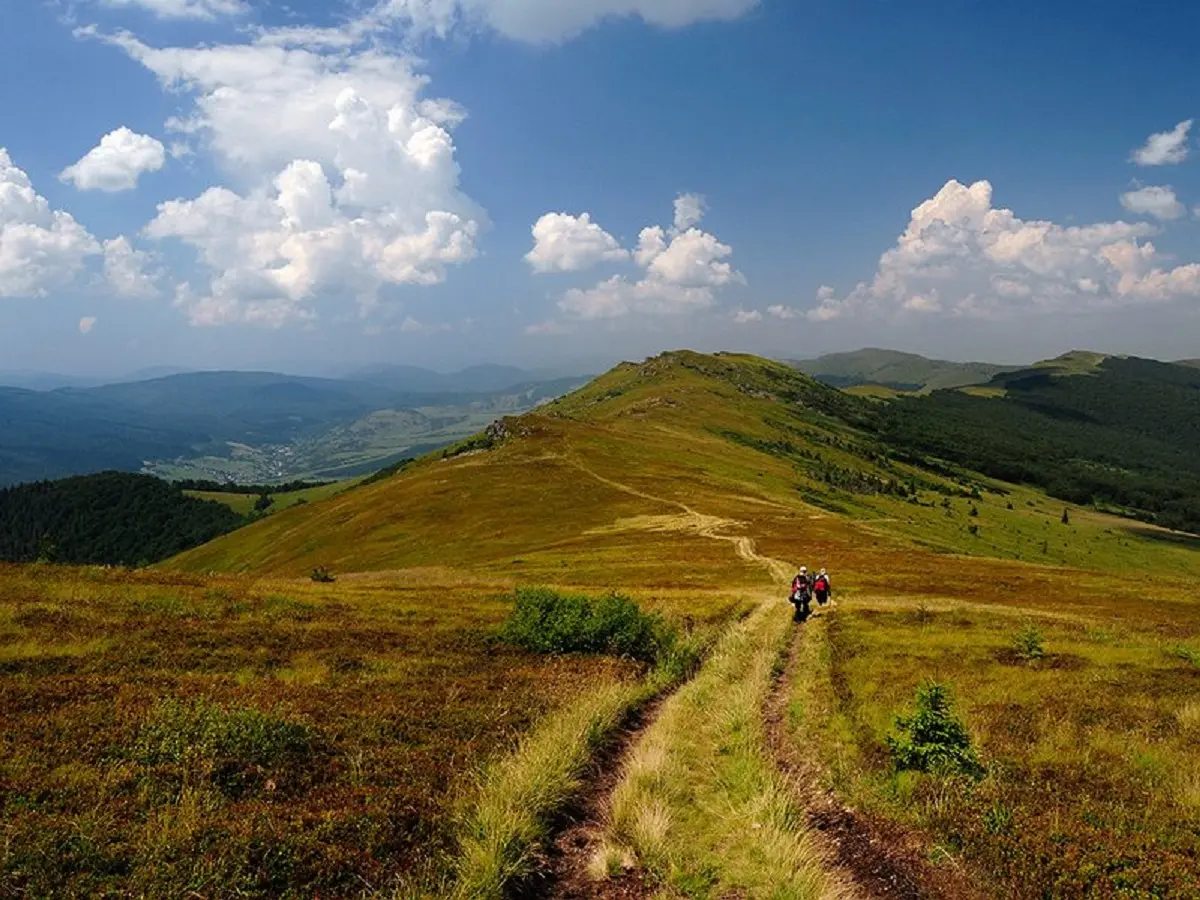 Гора Парашка / фото: karpaty.rocks