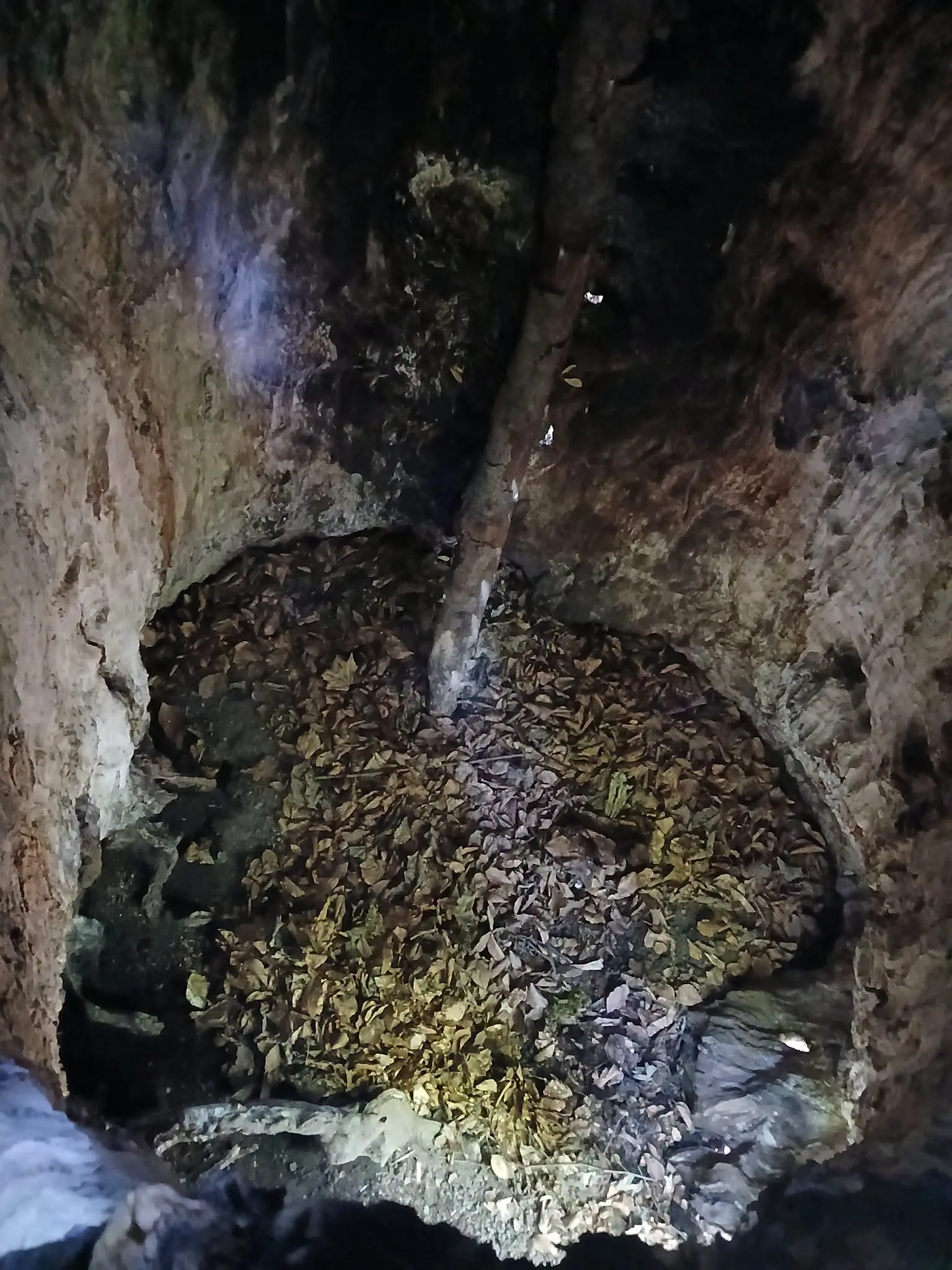 фото: НП "Сколівські Бескиди"
