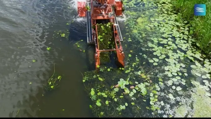 На київських водоймах прибирають водорості спеціальним комбайном