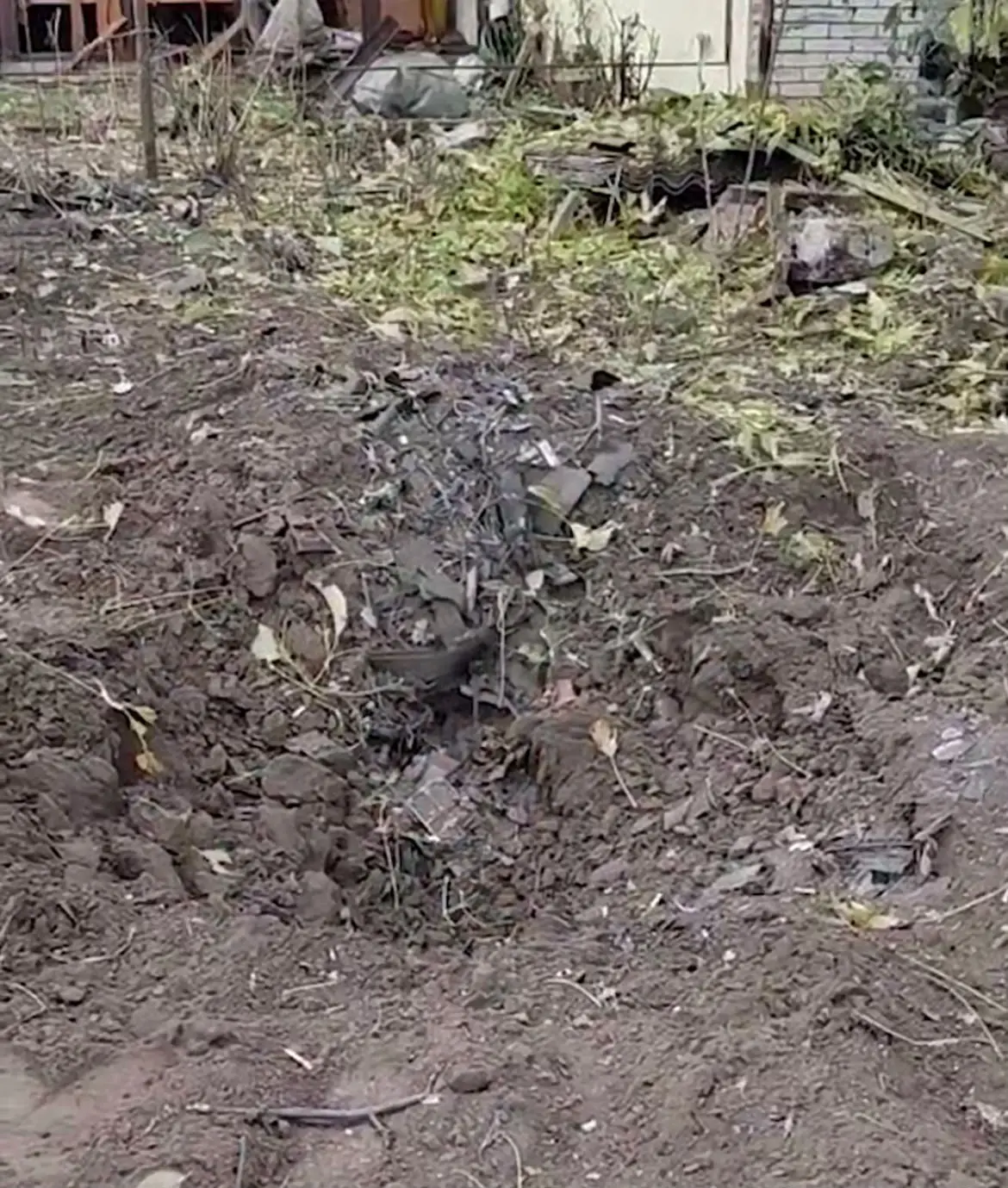 фото: Скриншот з відео "Суспільне"