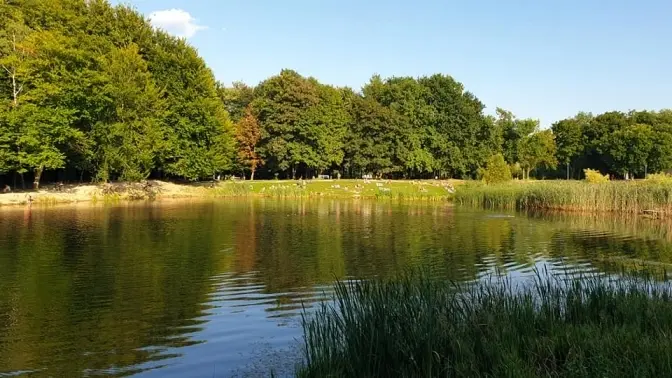 У Львові хочуть відновити два озера в Горіховому гаю