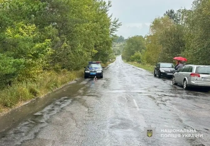 На Львівщині розшукали водія, який смертельно збив пішохода і втік з місця ДТП