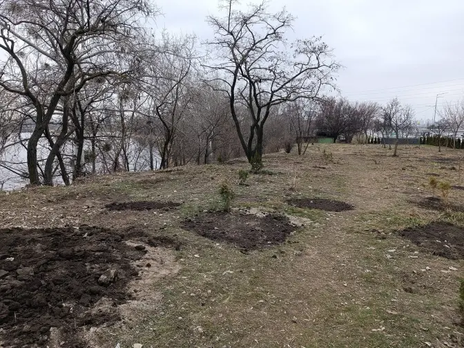 На Оболоні прибрали стихійне кладовище тварин