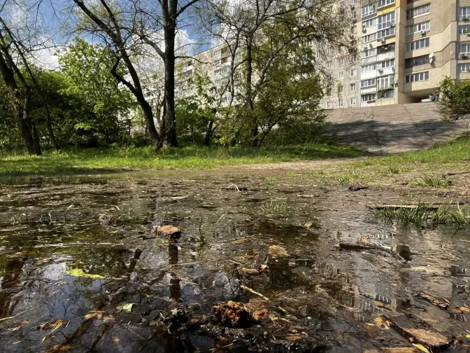 Кияни підтримали петицію проти будівництва паркінгу на Прирічній