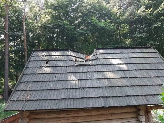 «Шевченківський гай» постраждав від буревію. Як львів'яни можуть допомогти