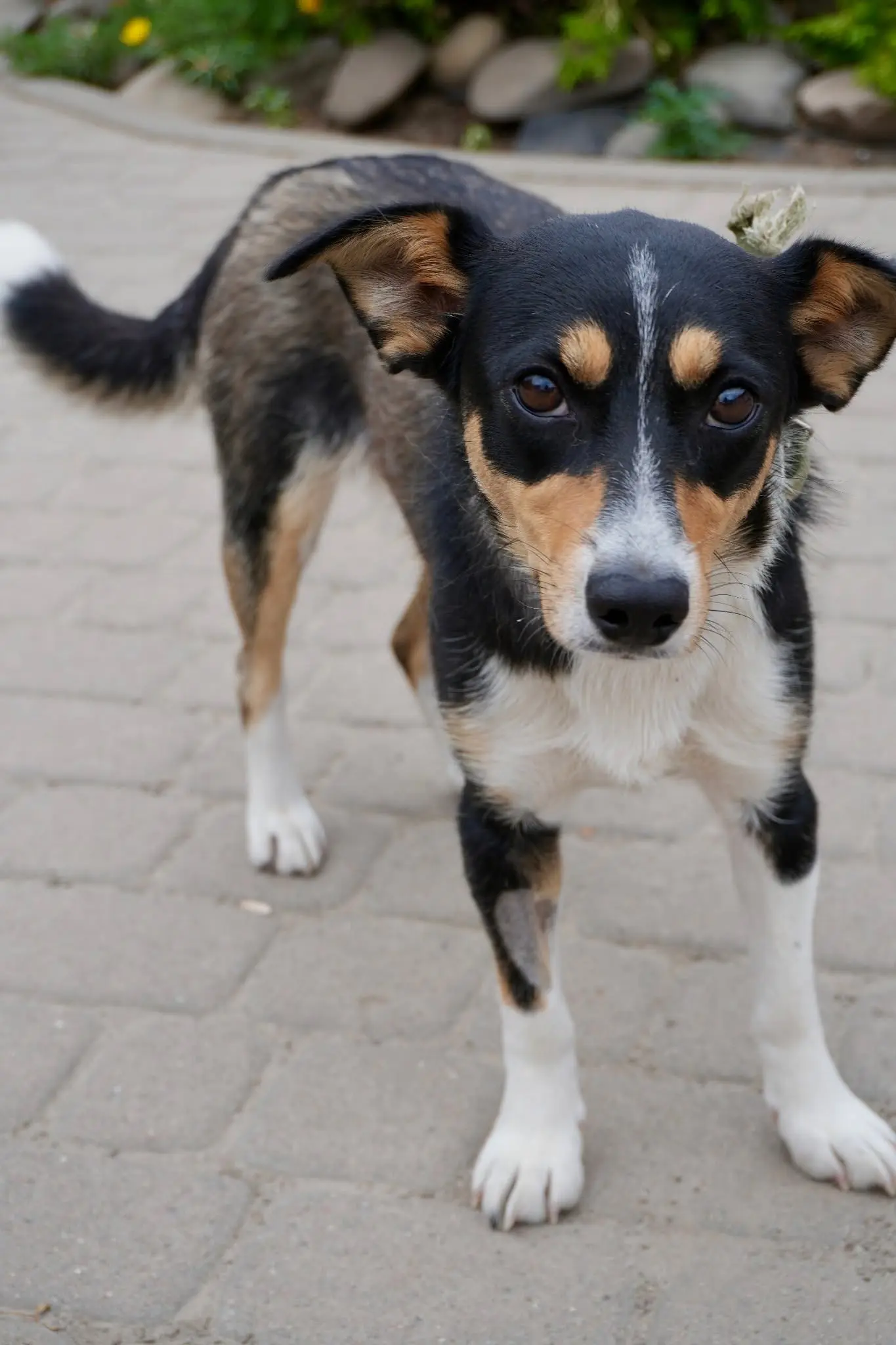 фото: ЛКП "Лев"