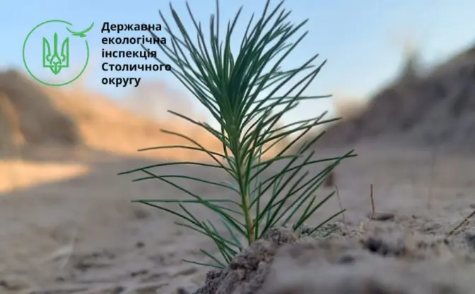 В Чорнобильській зоні відчуження висаджують нові ліси