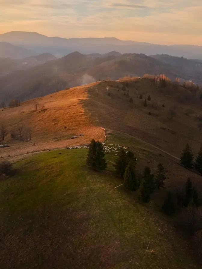 Фото: Антон Птушкін