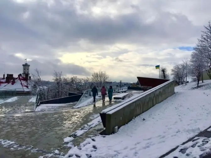 Біля Меморіалу Небесної Сотні у Львові незабаром висадять чорні сосни