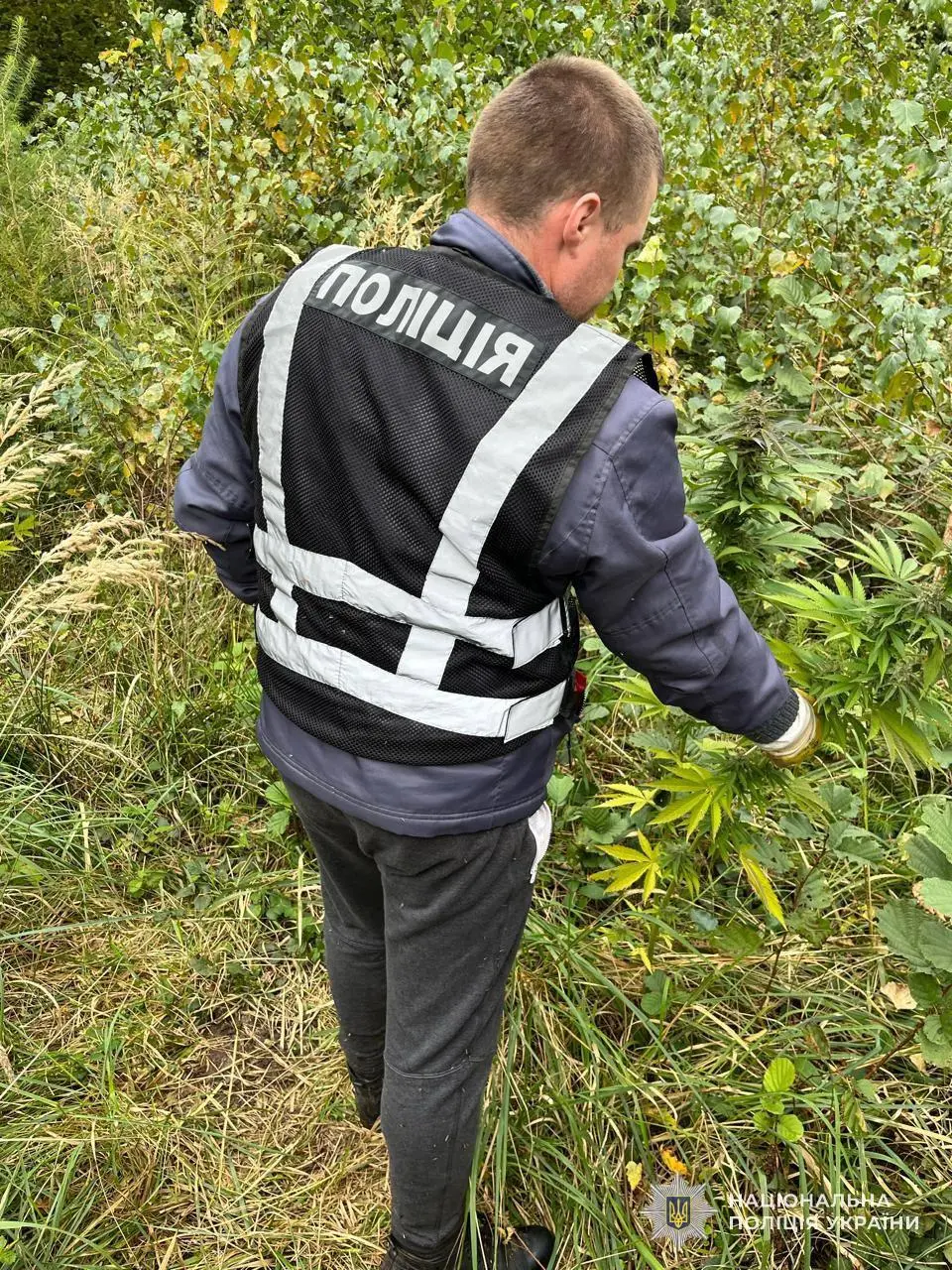 фото: Національна поліція
