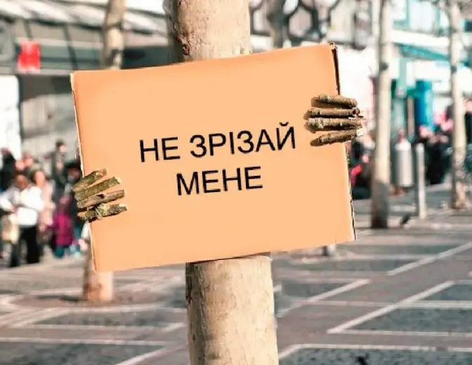 Львів'ян кличуть у сквер Святого Юра снідати і стерегти дерева
