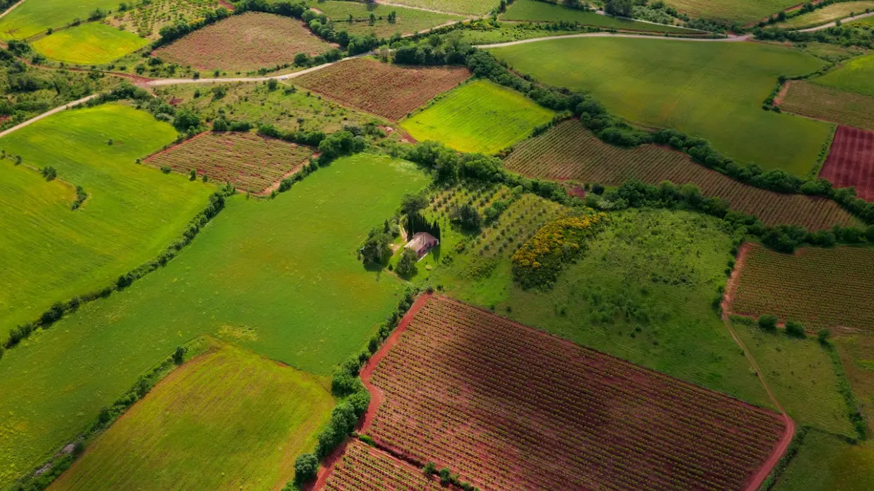 Фото умовне / Unsplash