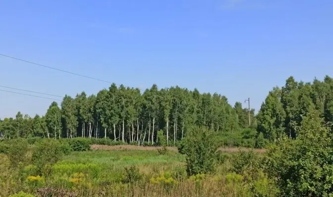 фото умовне